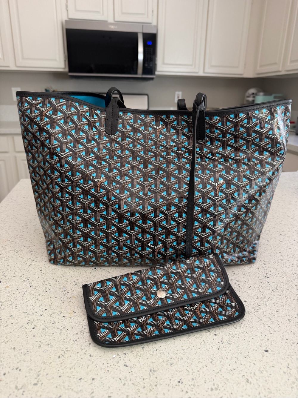 Goyard Goyardine Saint Louis Claire Voie PM - Limited Edition